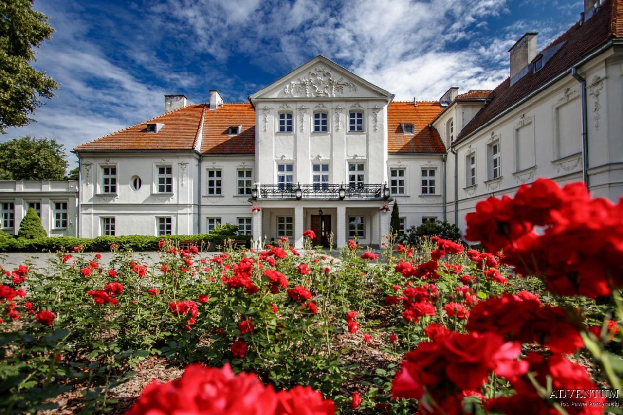 Palac Pod Kampinosem - Blisko Warszawy Leszno  Exteriér fotografie